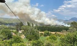 Muğla’da orman yangını! Çok sayıda söndürme aracı sevk edildi