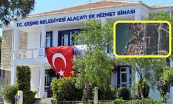 Alaçatı ve Ilıca’da dev satış: Çeşme Belediyesinden 175 milyonluk hamle