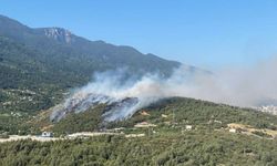 Uludağ eteklerinde üç ayrı noktada yangın!
