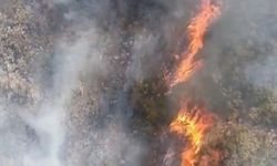 Alevler ormana sıçradı! Bursa’da yangına müdahale sürüyor