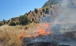 Örtü yangını ormana sıçradı! Diyarbakır’da alevlere karşı zamanla yarış