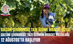 Sultani çekirdeksiz taze üzüme ihracat vizesi: Sultani çekirdeksiz taze üzümün ihracat yolculuğu 12 Ağustos'ta başlıyor