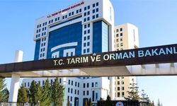 Tarım ve Orman Bakanlığı 1874 personel alımı başvurusu ne zaman bitiyor? Başvuru şartları ve kadro dağılımı