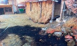 Kütahya' Tavşanlı'da yangın paniği