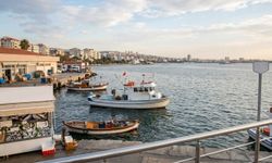Tehdit sadece kirlilik değilmiş: İzmir'de balık stokları alarm veriyor!