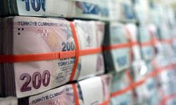 Türkiye'nin vergi rekortmenleri belli oldu! İşte en çok gelir vergisi ödeyen isimler...