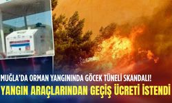 Muğla’da orman yangınında Göcek Tüneli skandalı! Yangın araçlarından geçiş ücreti istendi