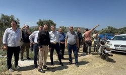 İzmir Bayındır'da orman yangını kontrol altına alındı