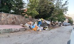 Yeşilyuva'da çöp ve sinek kabusu: Vatandaş isyan noktasında!