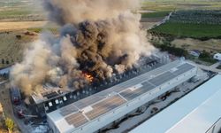 Manisa'da büyük yangın: Yumurta üretim tesisi küle döndü!