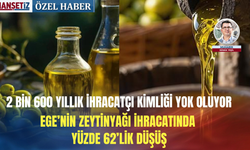2 bin 600 yıllık ihracatçı kimliği yok oluyor: Ege’nin zeytinyağı ihracatında yüzde 62’lik düşüş