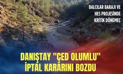 91 bin ağaç için kritik dönemeç: Danıştay 'ÇED olumlu' iptal kararını bozdu