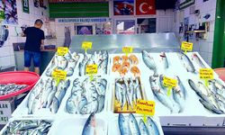 Denizde av yasağı sona erdi! Eylül ayında hangi balık yenir? İşte Eylül ayı balık takvimi ve pişirme önerileri
