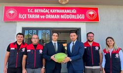 Ata tohumu Beyağaç Karpuzu coğrafi işaret yolunda