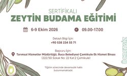 Buca’da ücretsiz zeytin budama eğitimi başlıyor