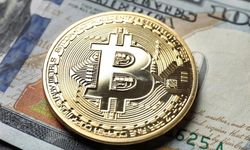 Kripto paralarda temkinli dönem: Büyüme planları sınırlı kaldı
