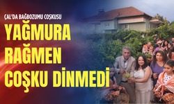 Çal'da bağbozumu coşkusu: Yağmura rağmen coşku dinmedi