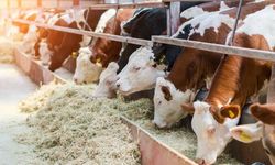 Denizli'ye 128 milyonluk destek ödemesi