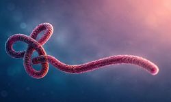 Dünya ciddi bir viral kuşatma altında! Prof. Dr. Gürüz’den yeni salgın uyarısı!