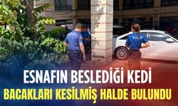 Esnafın beslediği Kedi bacakları kesilmiş halde bulundu