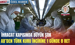 İhracat kapısında büyük şok: AB’den Türk kuru incirine 1 günde 8 ret