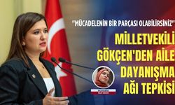 Gökçe Gökçen'den Aile Dayanışma Ağı tepkisi