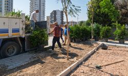İzmir'in mahalle ruhu yeşil dönüşümle canlanıyor