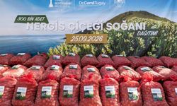 Nergisin anavatanına büyük destek: Karaburun’da üretim katlanacak!