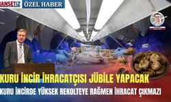 Kuru incirde yüksek rekolteye rağmen ihracat çıkmazı: Kuru incir ihracatçısı jübile yapacak