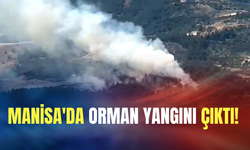 Manisa'da orman yangını çıktı!