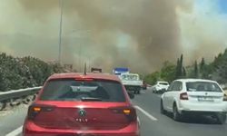 Manisa'da otoyol kenarında yangın