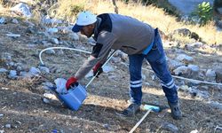 Manisa'da tarihi ve doğal güzergahta kapsamlı temizlik