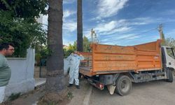 Marmaris'te çöp ev şoku: Bir kamyon çöp ve 30'a yakın kedi çıktı