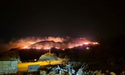 Muğla Bodrum'da korkutan yangın