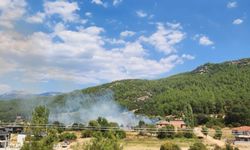Muğla’da yangın: Ekipler alevleri kontrol altına almaya çalışıyor
