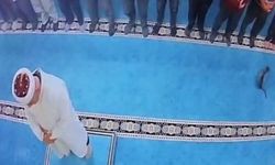 Camide kediye tekme vicdanları yaraladı: Tepkiler çığ gibi büyüdü, savcılık harekete geçti
