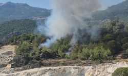 Muğla’da orman yangını!