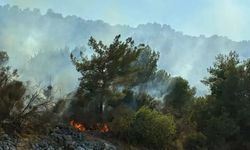 Antalya’da orman yangını: Havadan ve karadan müdahale başlatıldı