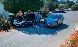 Cezasızlıktan cesaret alıyorlar! Vicdansızın ezdiği köpekler dört gündür kayıp