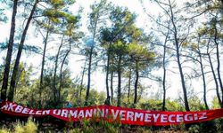 Akbelen’de köylülerden kamulaştırma kararına karşı nöbet: Bir şirket için bizi yerimizden edemezsiniz