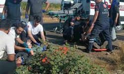 Tütün işçilerini taşıyan minibüs devrildi: İşçiler hastanelik oldu