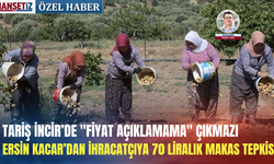 TARİŞ İncir’de "fiyat açıklamama" çıkmazı: Ersin Kacar’dan ihracatçıya 70 liralık makas tepkisi!