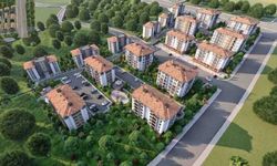 TMMOB’den Menemen Doğaköy TOKİ projesi için çağrı: Derhal durdurulmalı!