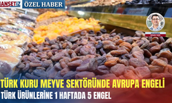 Türk kuru meyve sektöründe Avrupa engeli: Türk ürünlerine 1 haftada 5 engel