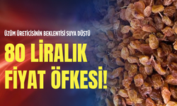 Üzüm üreticisinin beklentisi suya düştü: 80 liralık fiyat öfkesi!