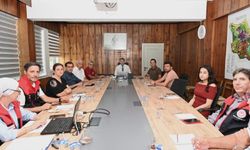 Denizli’de zeytin ve zeytinyağı rekolte tahmin çalışmaları başladı