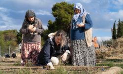 Mahalle Bostanlarında kışlık sebzeler toprakla buluşuyor