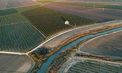 Afyonkarahisar’da zorunlu arazi toplulaştırma kararı Resmi Gazete’de yayımlandı