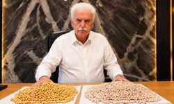 Denizli’nin yerli nohutları leblebiye dönüştü