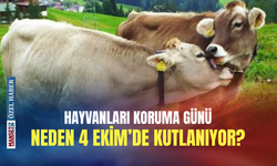 Hayvanları Koruma Günü neden 4 Ekim’de kutlanıyor?